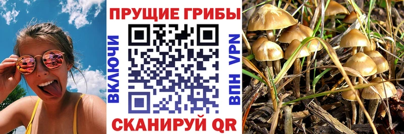 darknet клад  Усолье-Сибирское  Псилоцибиновые грибы прущие грибы 